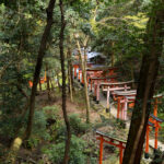 28-DSC_9487_01